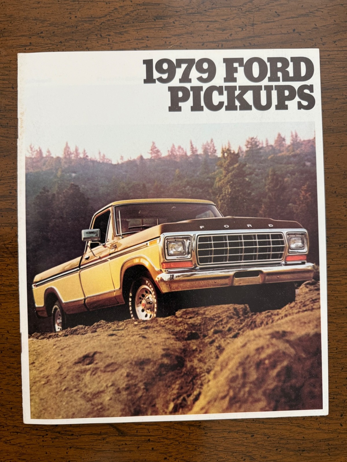 1979 Ford Pickup Trucks Sales Brochure - Original 1979 Ford Pickup Trucks Sales Brochure - Original