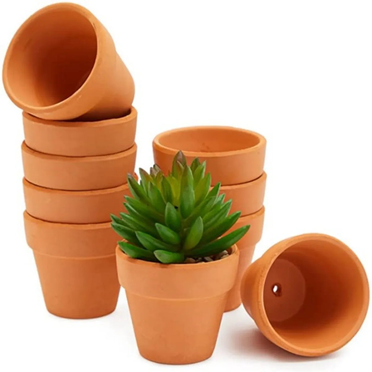 16 Pcs 1.8'' Terra Cotta Pots Pottery Planter Cactus Flower Pots Succulent Pot w 16 Pcs 1.8'' Terra Cotta Pots Pottery Planter Cactus Flower Pots Succulent Pot w