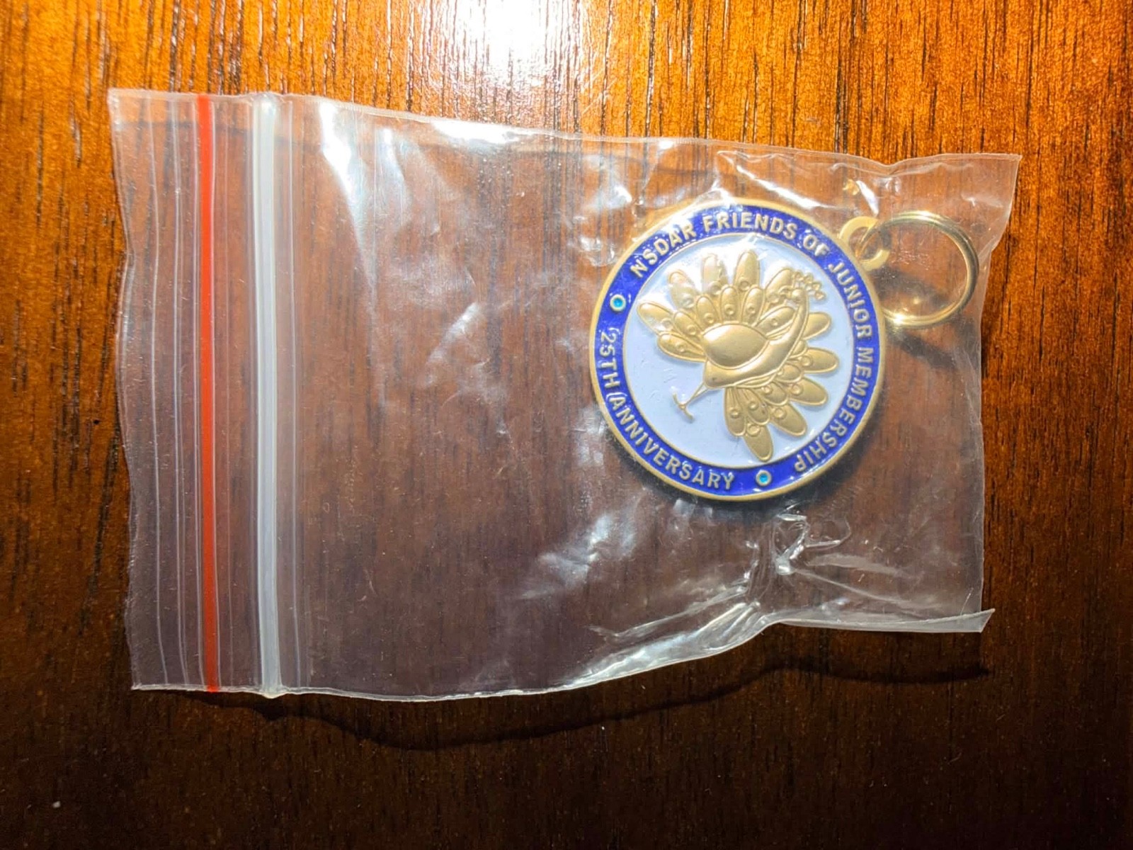 VTG DAR Daughters of the American Revolution Friends of Junior Membership 
