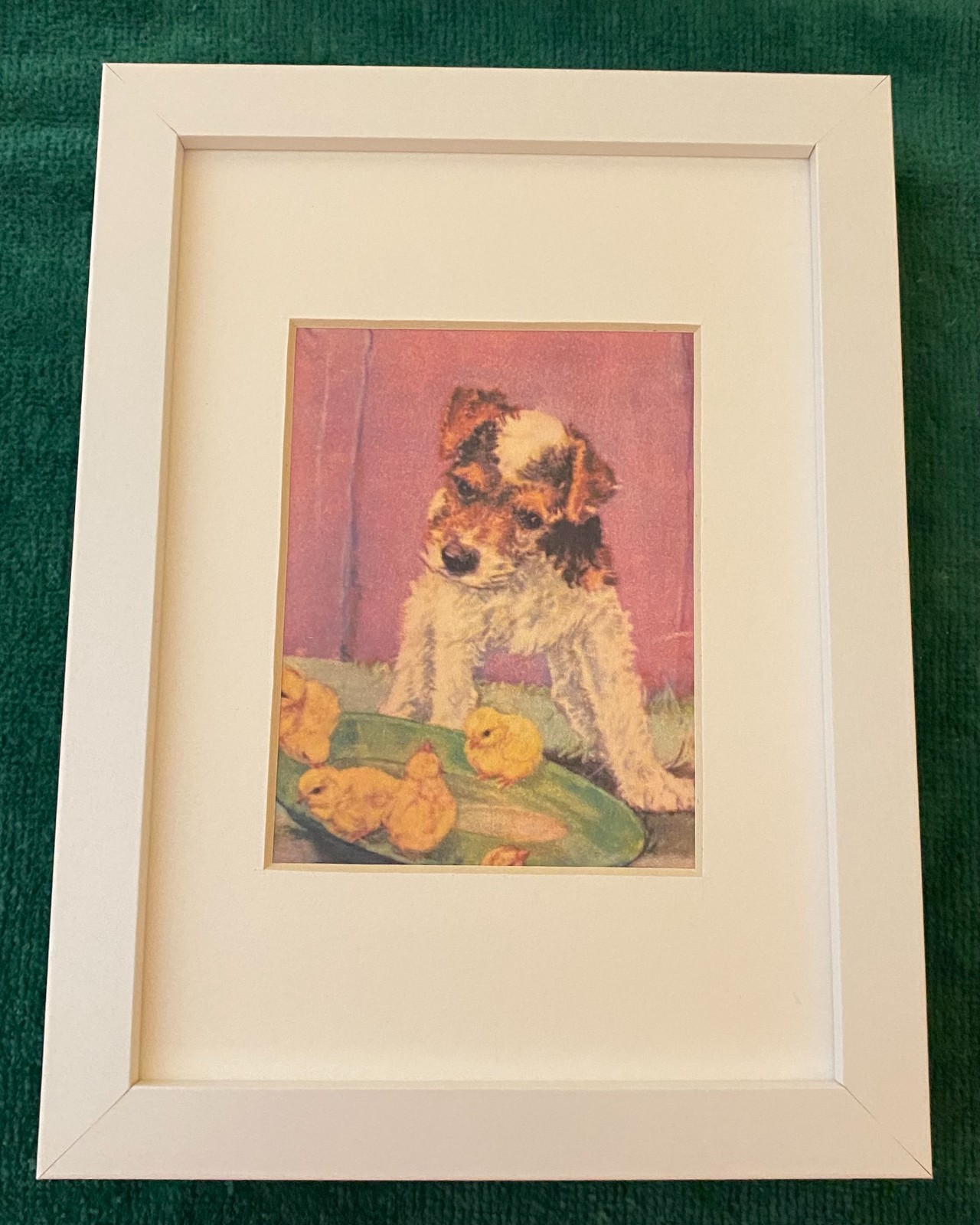 Wire Fox Terrier - MATTED | FRAMED | READY TO GIFT - New Dog Art Print W