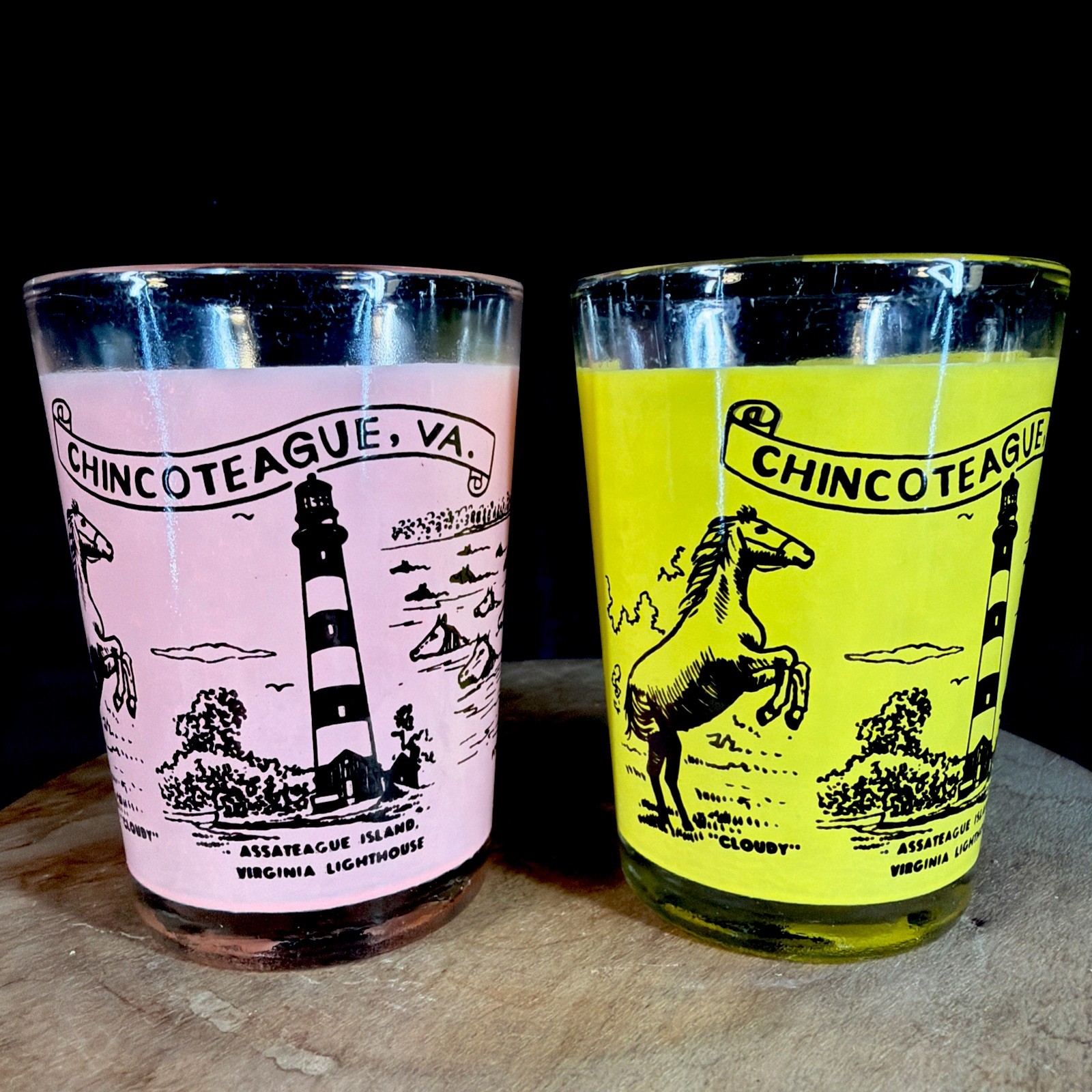 Vintage 70s Chincoteague Assateague Island Virginia Pony Swim Cloudy Bar Glasses