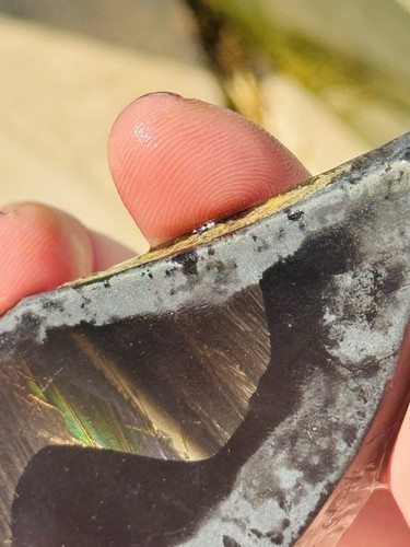 181ct Rare Fire Obsidian-Glass Butte, Oregon Gemstone Lapidary Rough Specimen