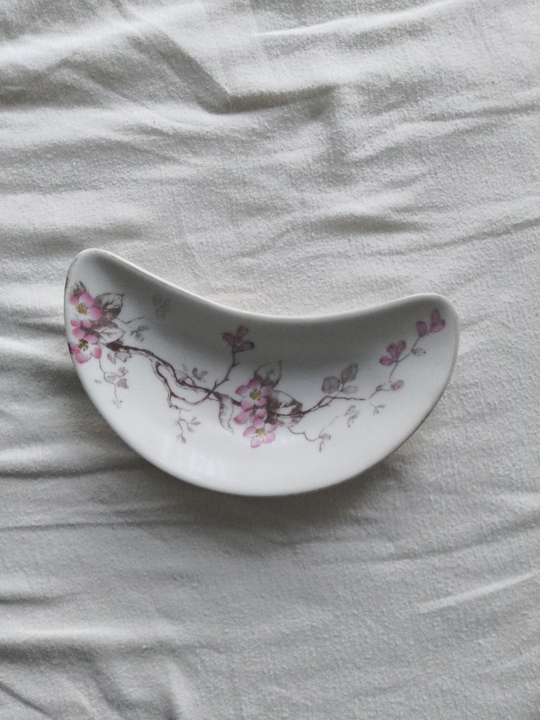 Vintage Karlsbad BBQ Porcelain Bone Dish 7\