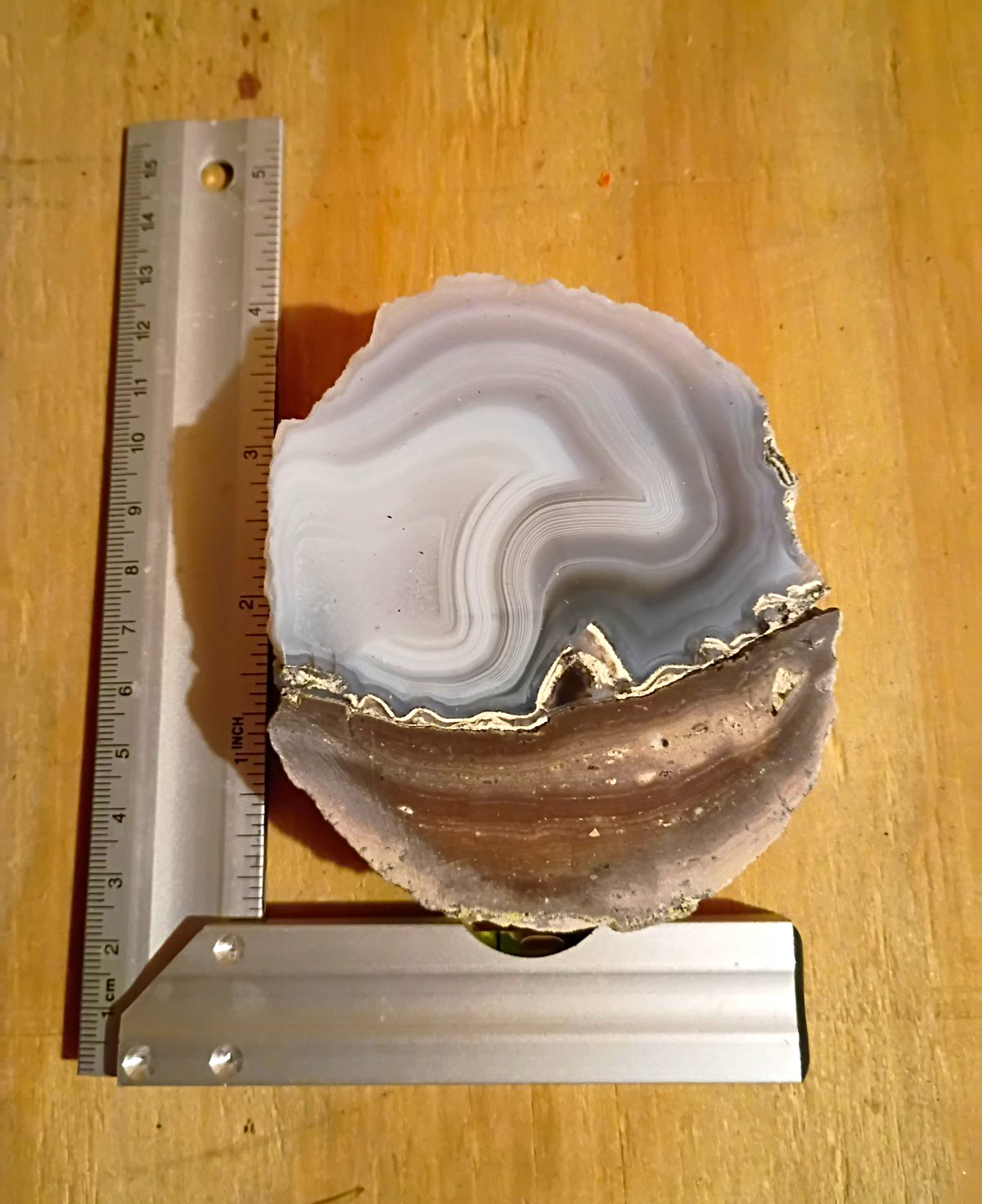 Natural Blue Mexican Coconut Geode Cut & Polished