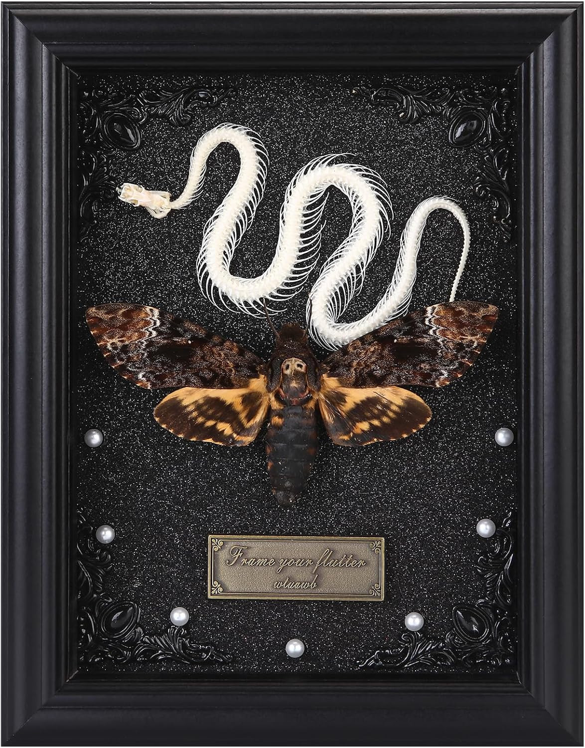 Gothic Death Head Moth & Snake Skeleton Shadow Box Wall Art Decor