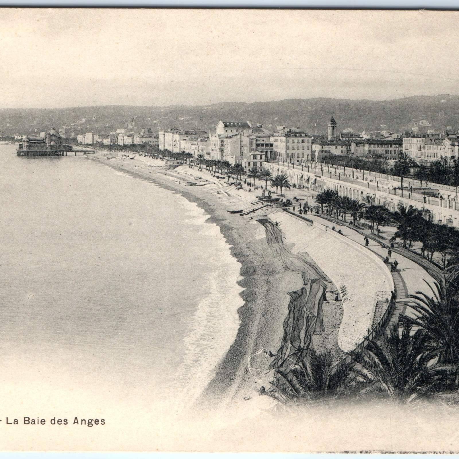 c1910s Nice, France Postcard La Baie des Anges Bay Beach Promenade Palm A373