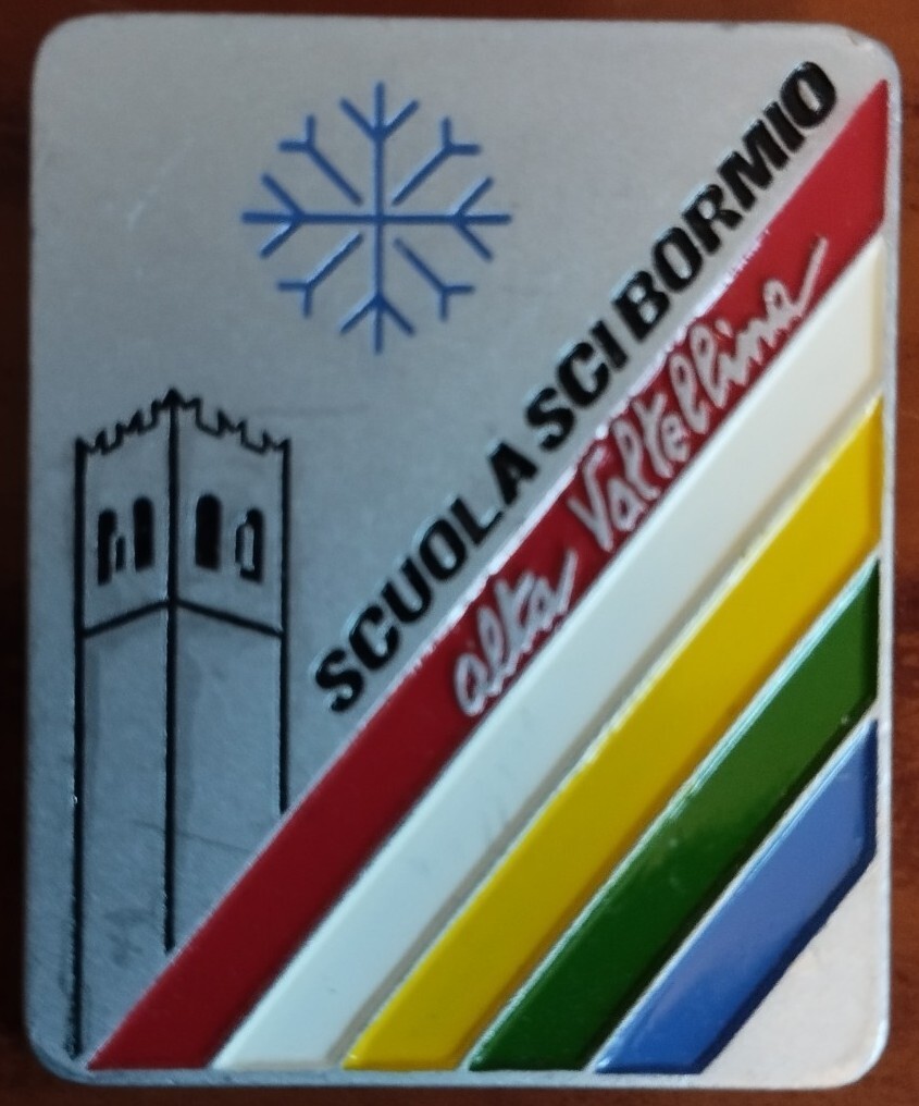 Vintage Italian Ski School Enamel Badge 1994 Bormio Italy Alta Valtellina