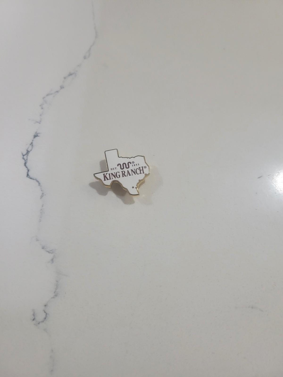 Rare King Ranch Texas State Outline Magnetic Lapel Pin