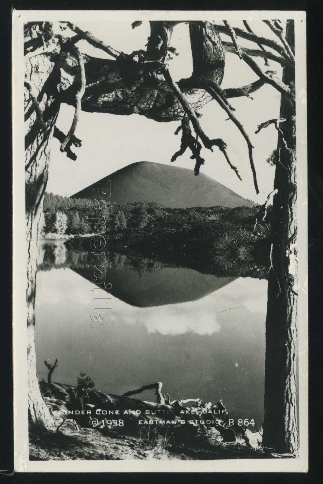 CA Lassen National Pk RPPC c.1938 CINDER CONE & BUTTE LAKE by Eastman No. B-864