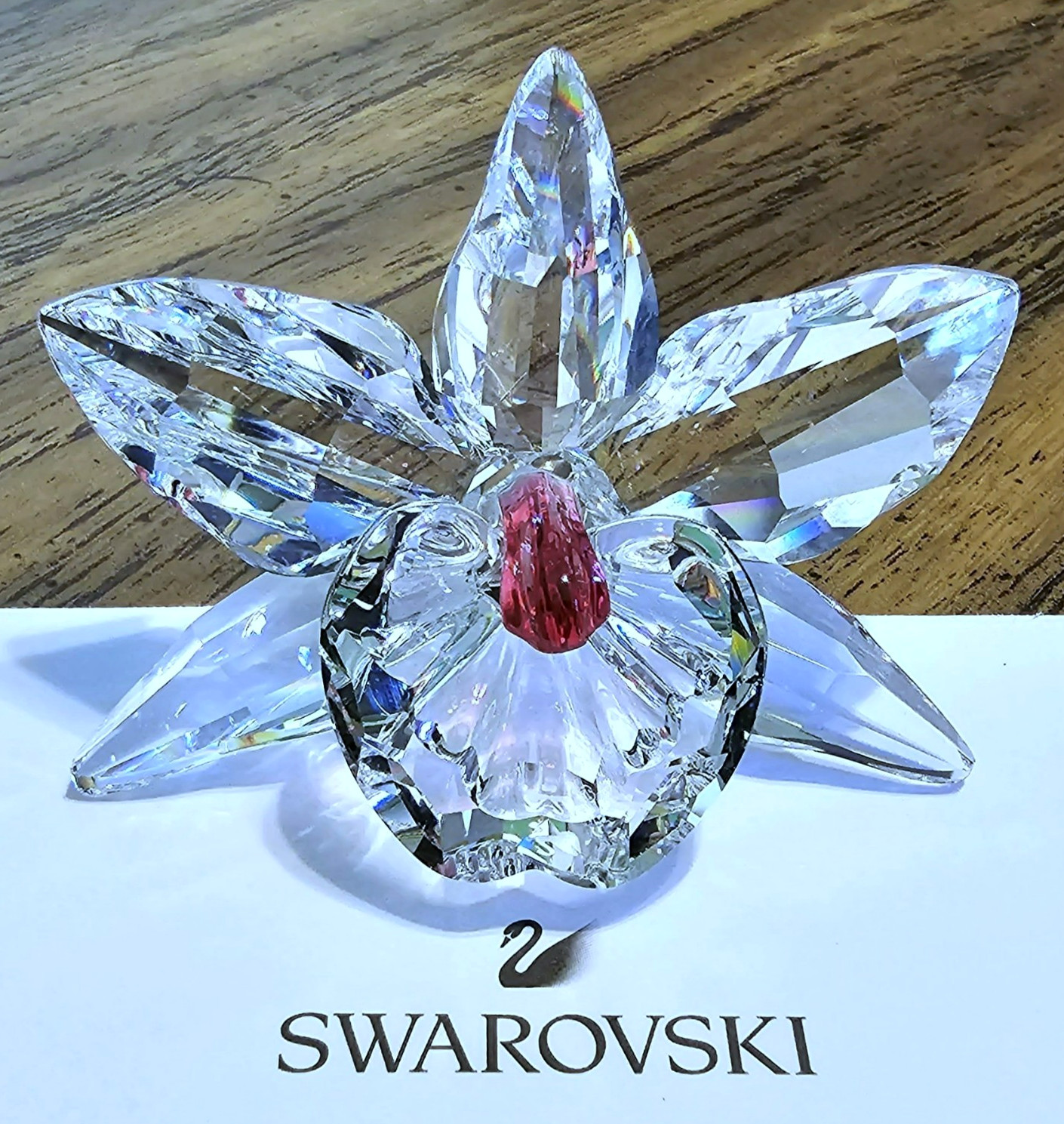 🌺 Swarovski Crystal **ARTIST SIGNED** 1998 Large Orchid Figurine, Dark Pink NIB
