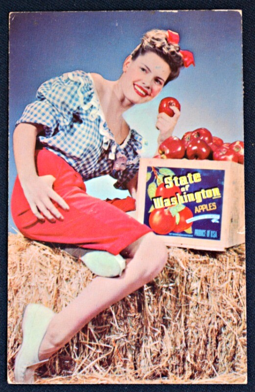 Greetings From Washington State Woman & Apples  Postcard PC 1962 Colourpicture