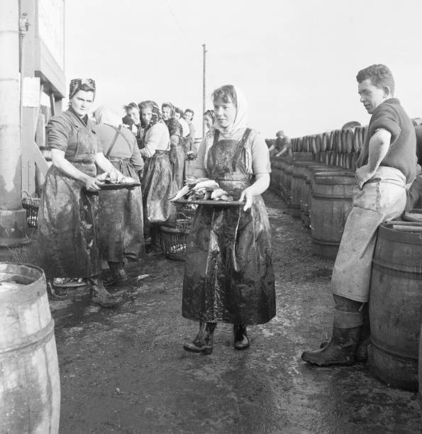 Scottish fish lassies in Great Yarmouth preparing herrings 1954 OLD PHOTO