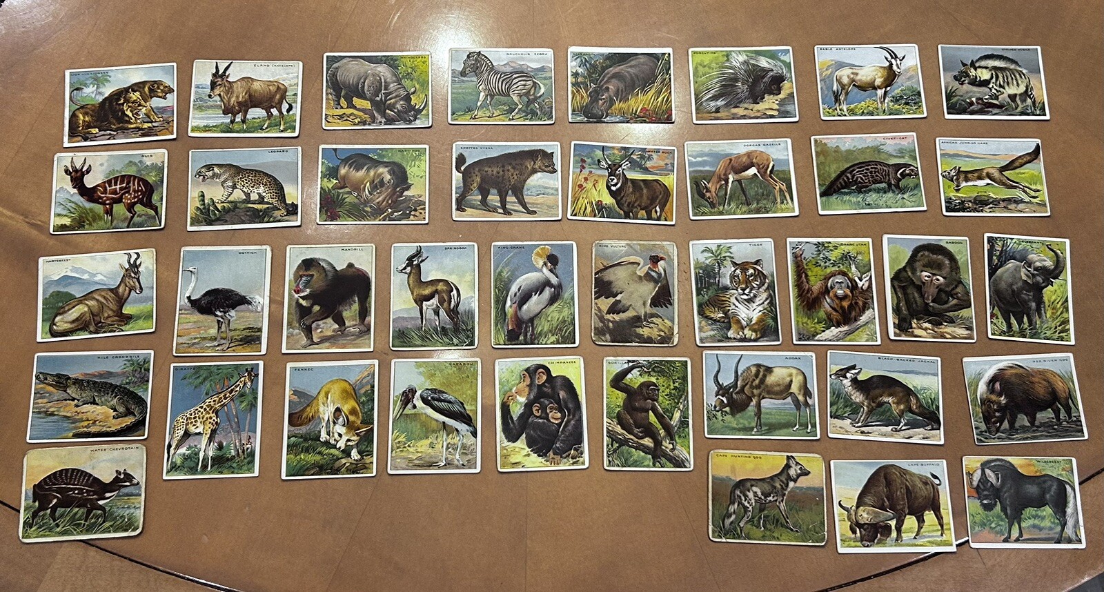 1909/11 T29 Hassan Animals Series Complete Your Set 1909 VG to Excellent