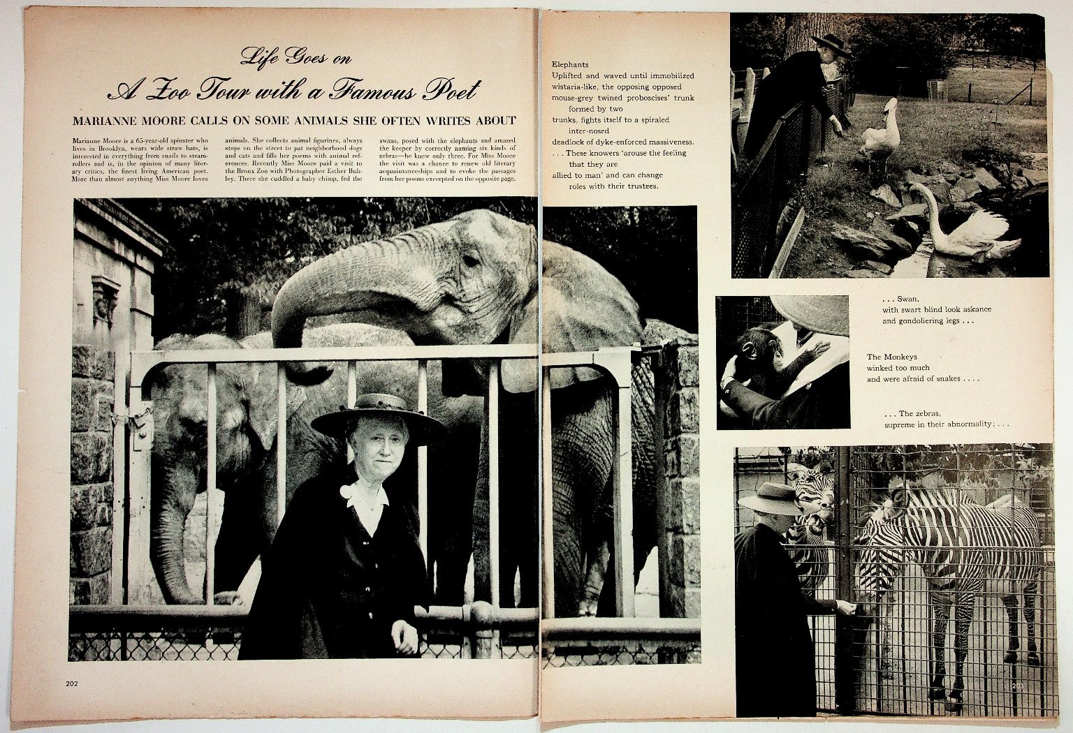 Life Magazine 1955 Marianne Moore Poet Zoo Tour 2-Page Print B&W Photos
