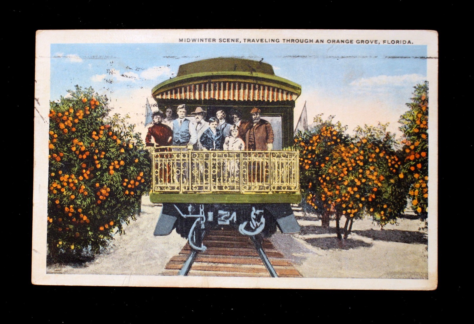 1925 POSTCARD MIDWINTER SCENE TRAVELING THROUGH AN ORANGE GROVE FLORIDA BY TRAIN