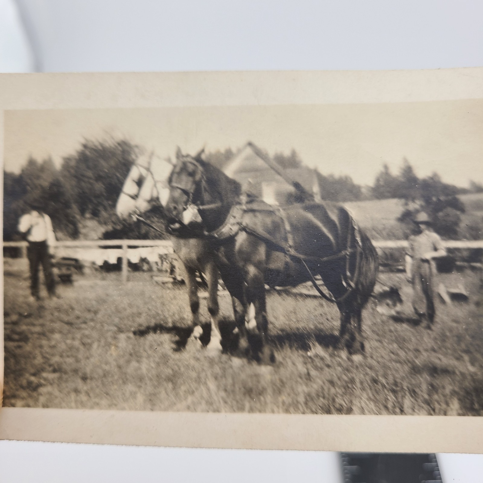 Photo Farm Scene Horses Farmers Preparing to Plow Field House 1940s Vintage