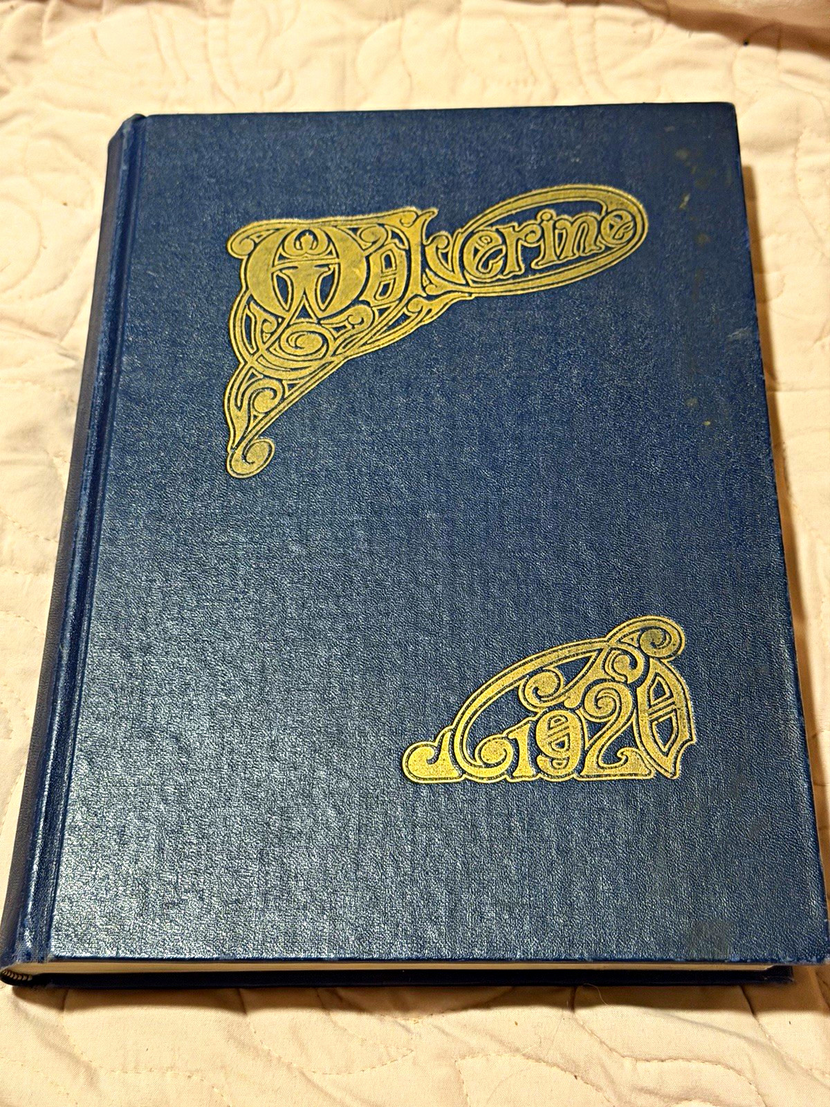     1920 Wolverine Michigan Agricultural College Yearbook Early MSU History MAC