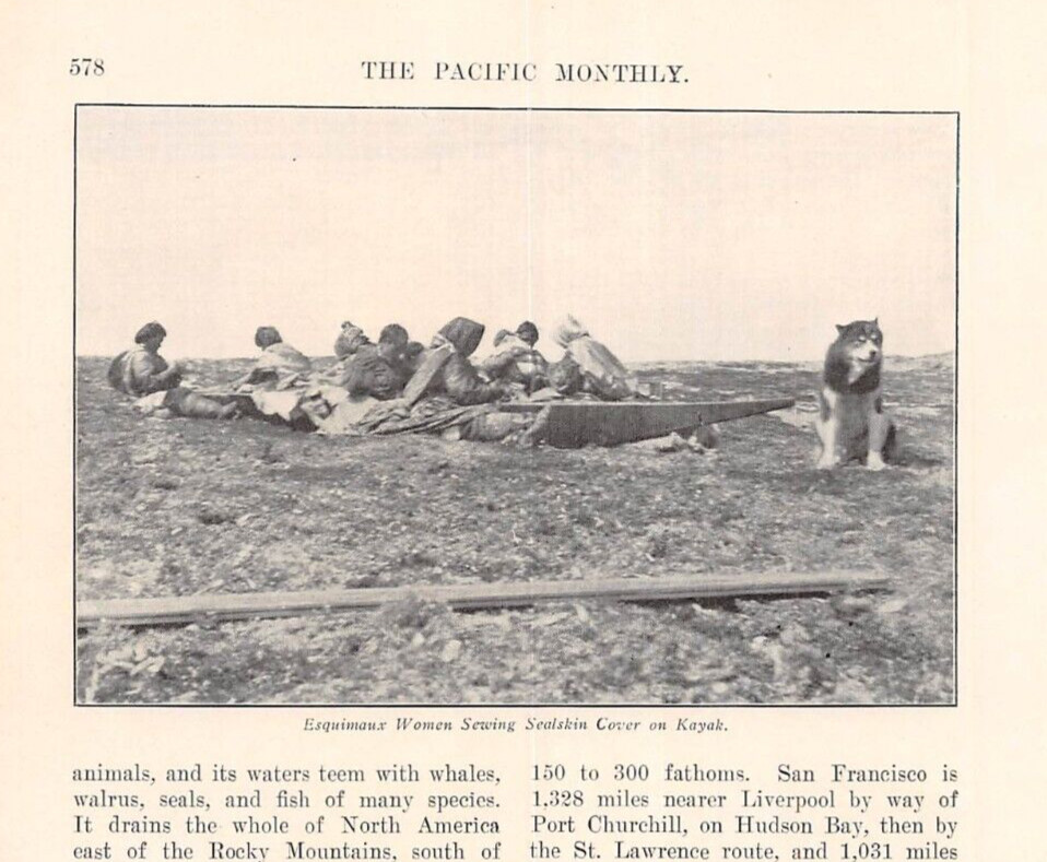1906 \