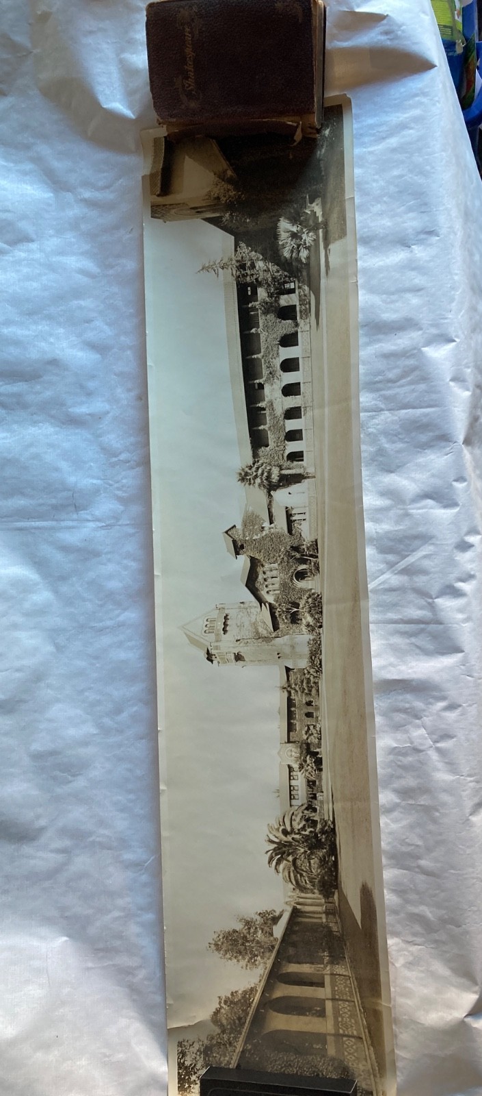 Vintage San Jose State College Panoramic Photograph Tower Hall California Sepia
