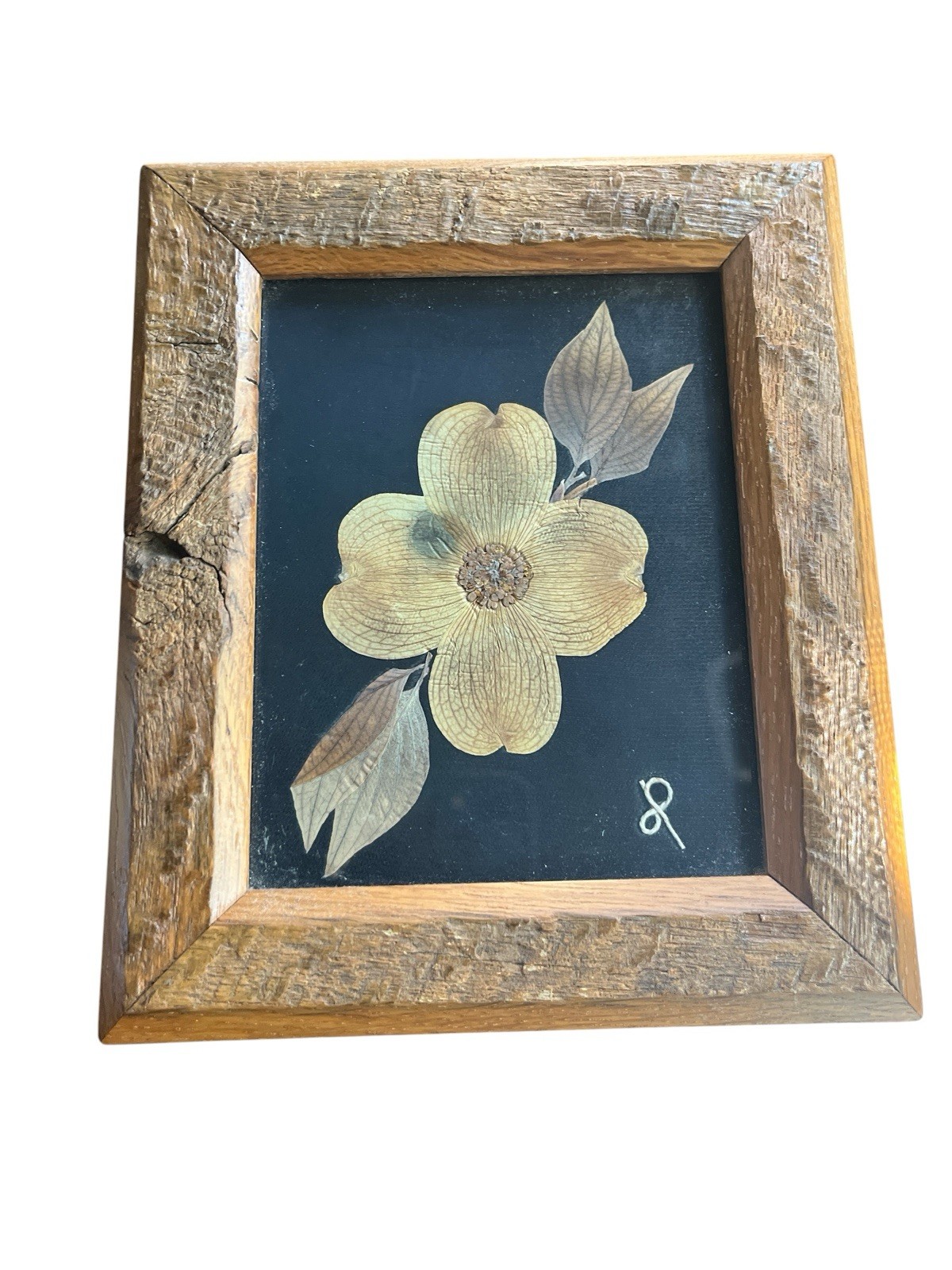 Vintage Pressed Dogwood Blossom Framed Art Handmade Wood Frame Christian Legend