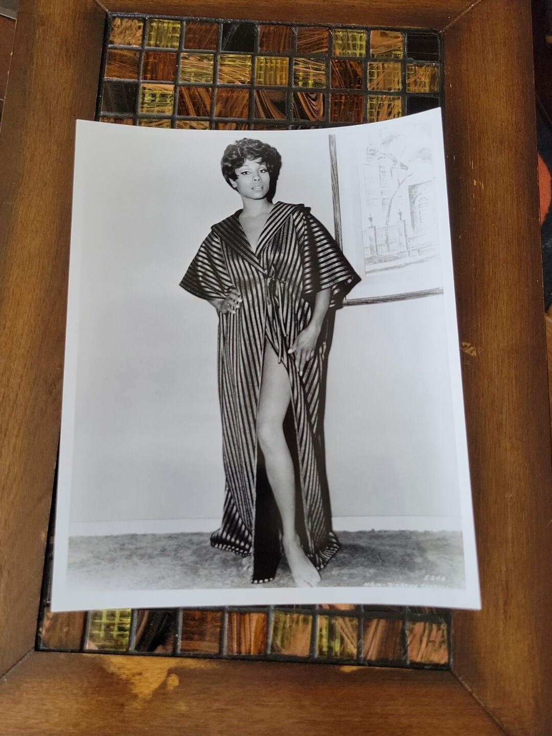 Diahann Carroll Irving Klaw Archives Movie Star News Vintage Photo 8x10 1970s 