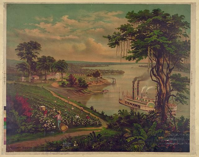 Mississippi River Cotton Plantation African Americans Picking Cotton c1883