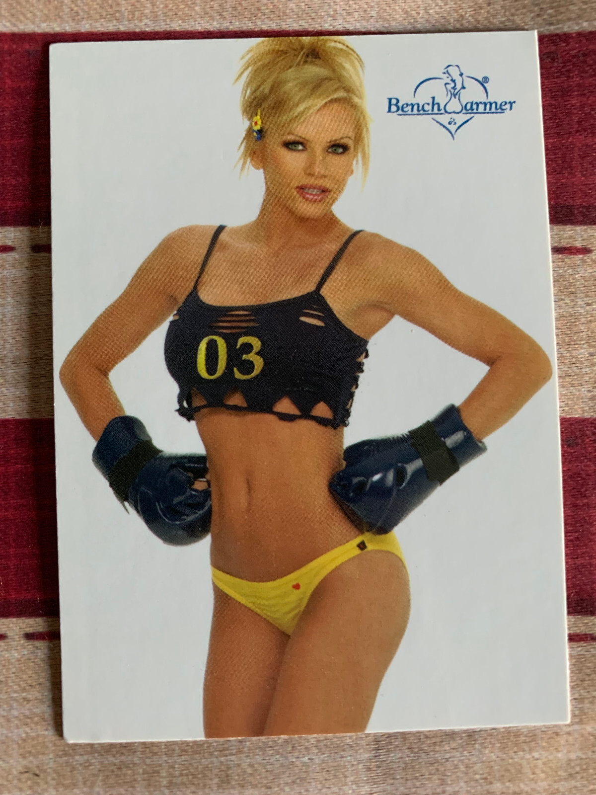 BENCH WARMER 2003 SERIES 1  Pick Your Card Playboy Models, WWE & More
