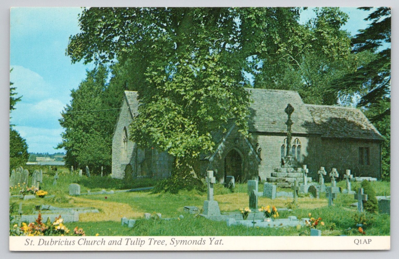 St. Dubricius Church & Tulip Tree, Symonds Yat, England Postcard St. Dubricius Church & Tulip Tree, Symonds Yat, England Postcard