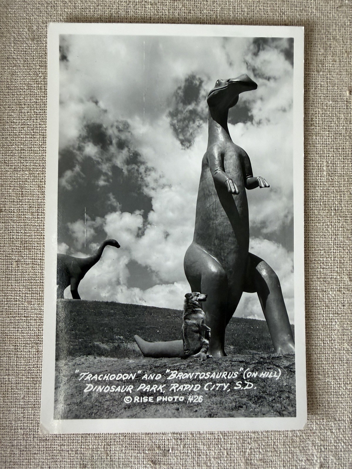 RPPC Trachodon Brontosaurus Dinosaur Park Rapid City South Dakota Rise Photo 426