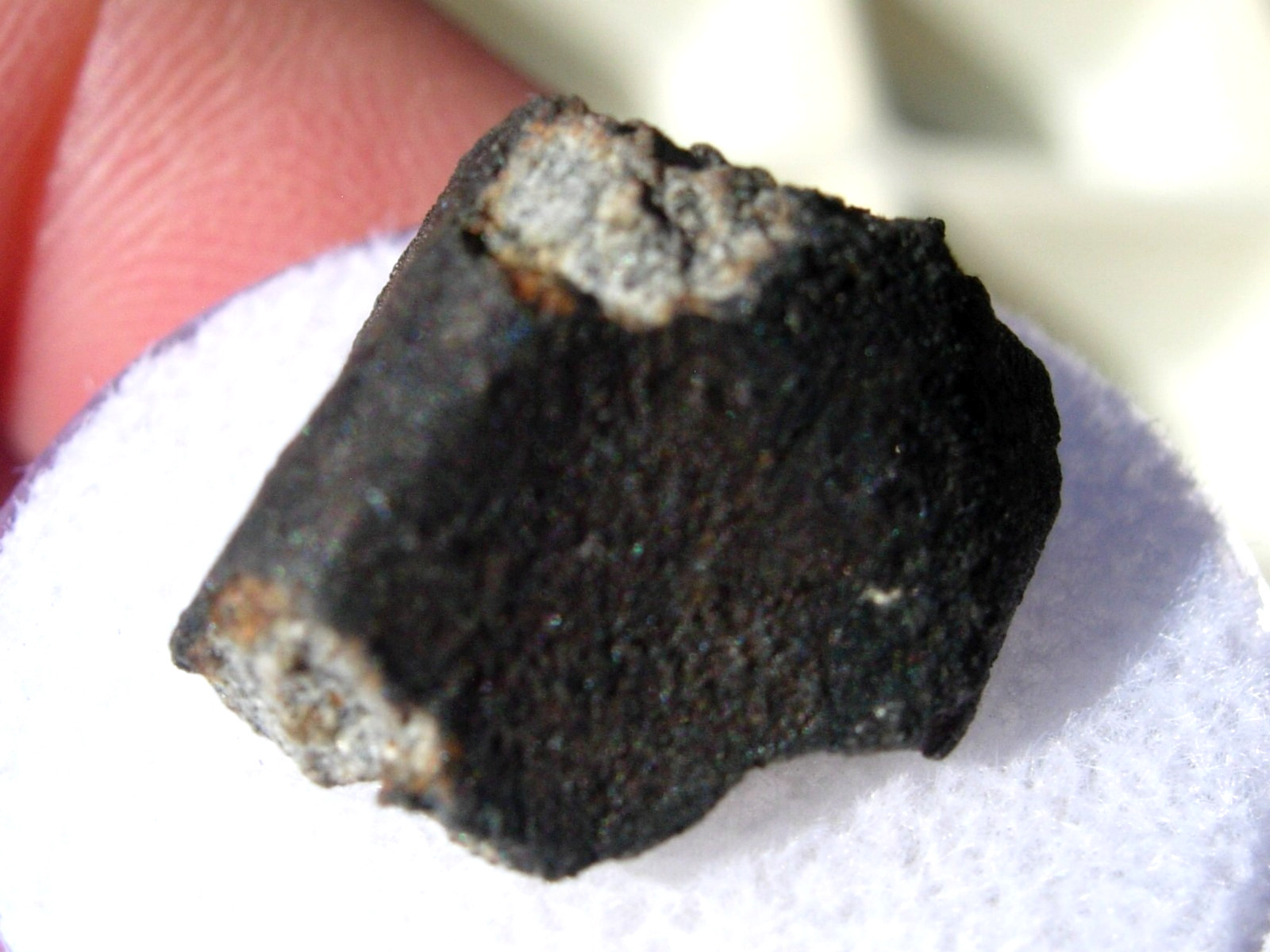 2.92 grams part crusted 17mm Buzzard Coulee (H4) Meteorite from Canada with COA