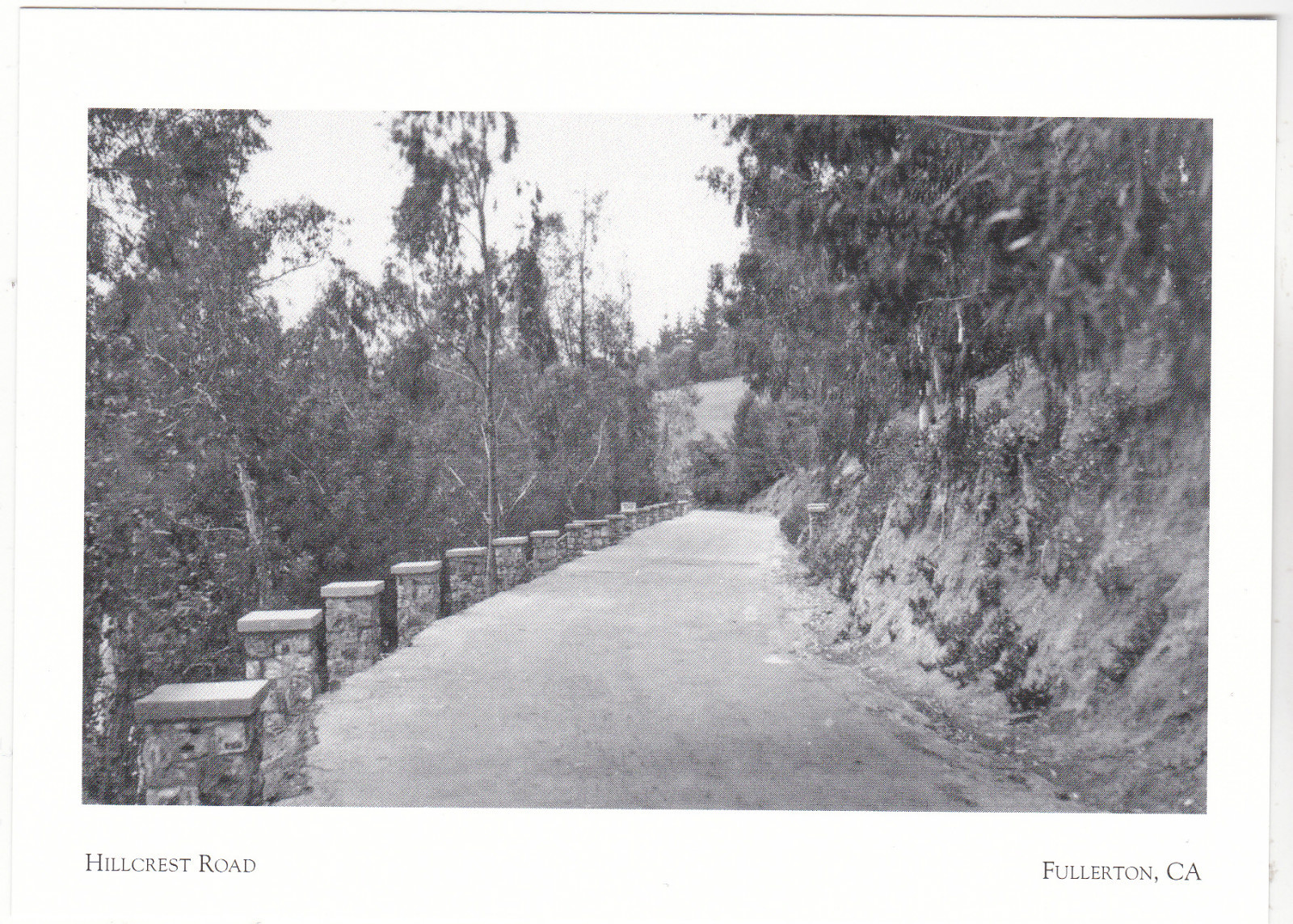 *California Postcard-