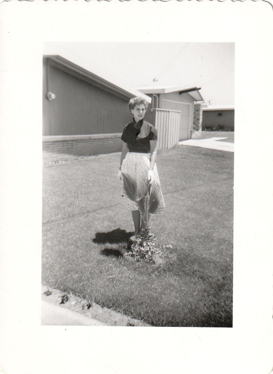 Vintage Photo Pretty Woman Palm Tree California Suburb 1950s MCM Homes B&W