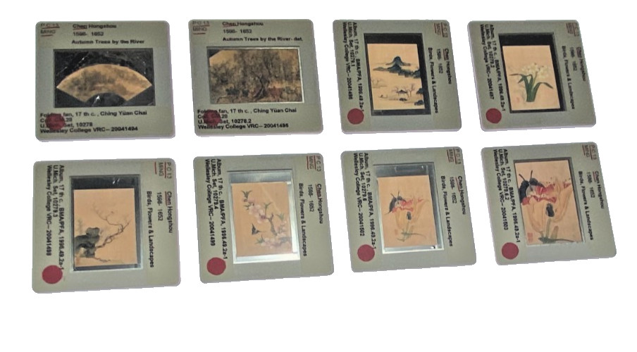 8 Vintage 35mm Art Slides – Chen Hongshou Birds, Flowers, Figures & Landscapes