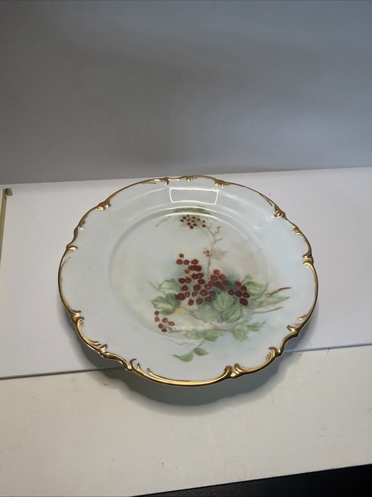 Vintage Sylvia Hutschenreuther, hand painted plate, Bavaria Germany Vintage Sylvia Hutschenreuther, hand painted plate, Bavaria Germany