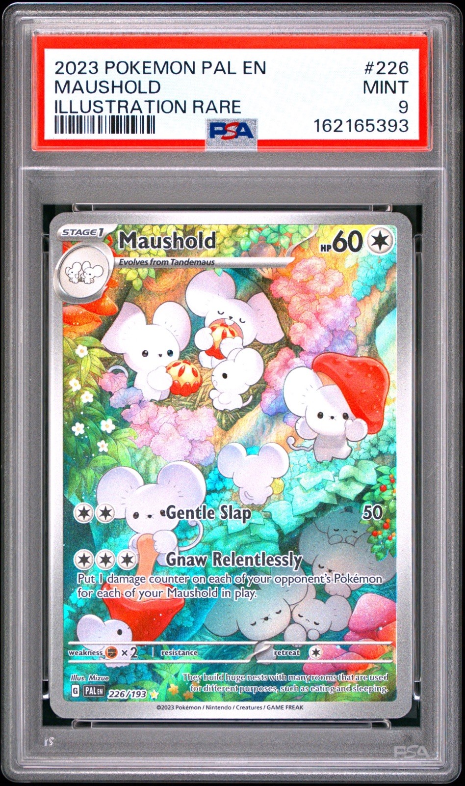2023 POKEMON PAL EN-PALDEA EVOLVED ILLUSTRATION RARE 226/193 MAUSHOLD PSA 9