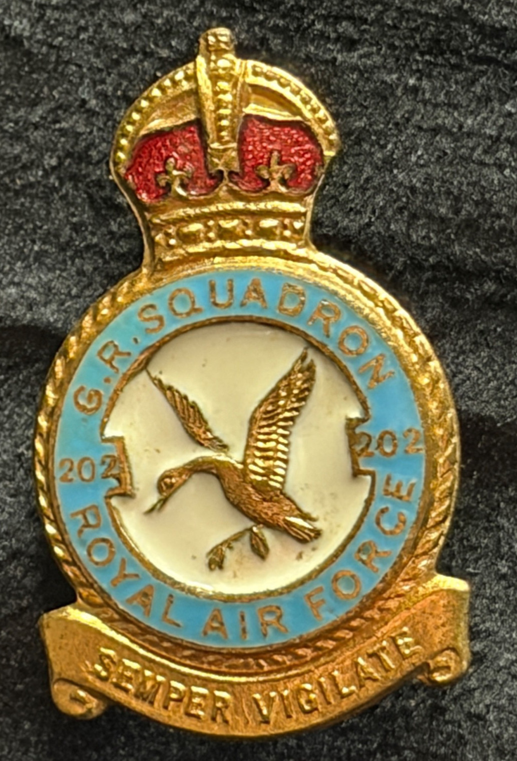 RARE VINTAGE ROYAL AIR FORCE G.R. SQUADRON 202 (GENERAL RECONNAISSANC) PIN BADGE