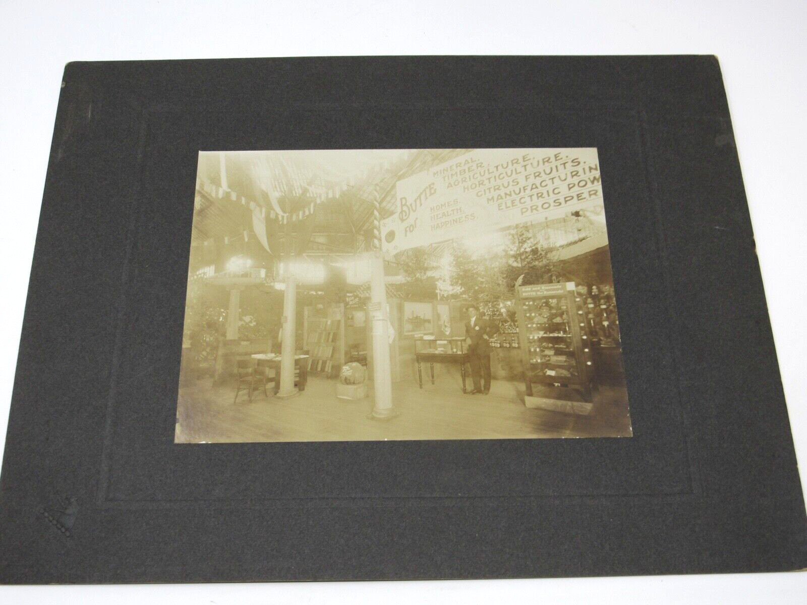 Oroville CA Butte County Citris Fair Exhibit LARGE Cabinet Photograph c1890 RARE