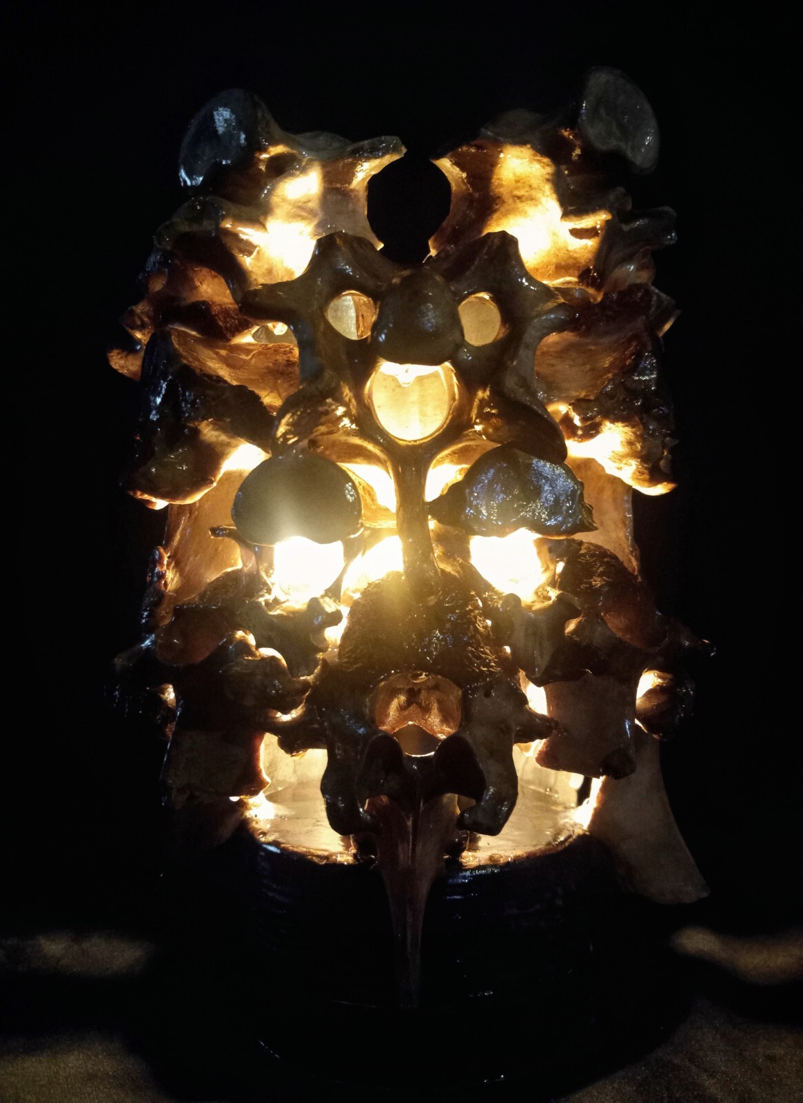 Bone Lamp - Deer and Bear Vertebrae - Dark Gothic Decor Oddities