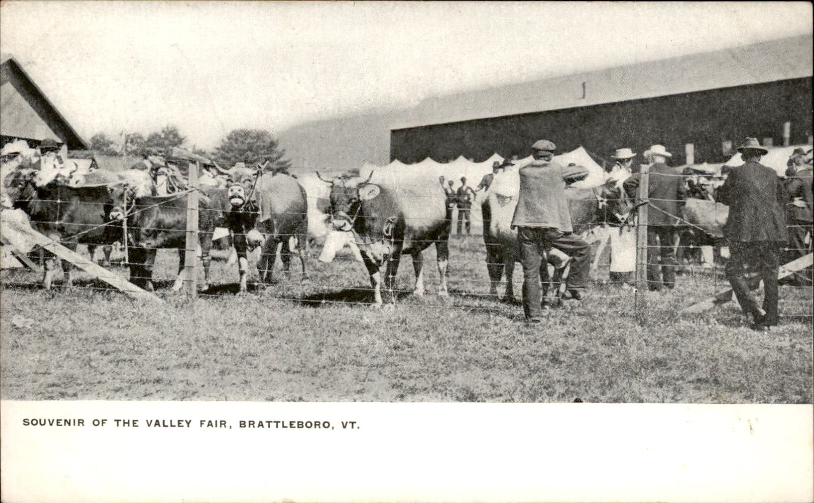 Brattleboro Vermont VT Valley Fair c1900s-10s Vintage Postcard