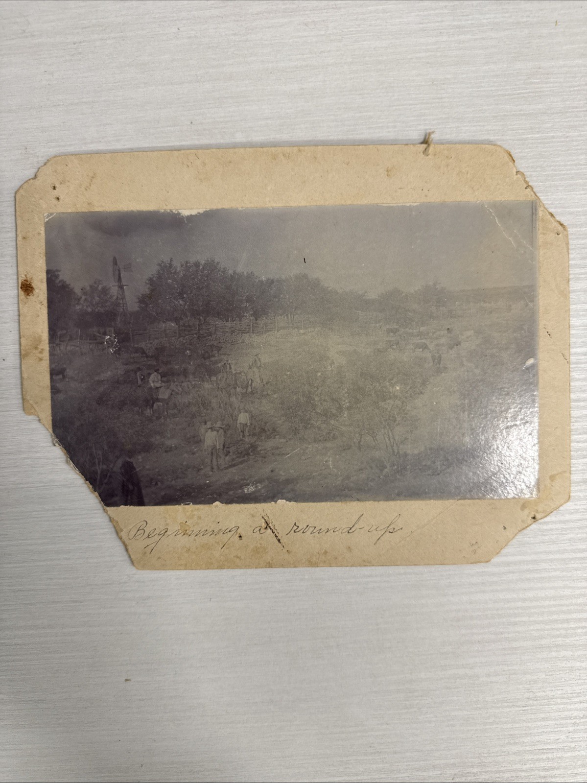 ORIGINAL Texas Cowboy Photograph Beginning A Round-Up Cattle Drive Christour, TX ORIGINAL Texas Cowboy Photograph Beginning A Round-Up Cattle Drive Christour, TX