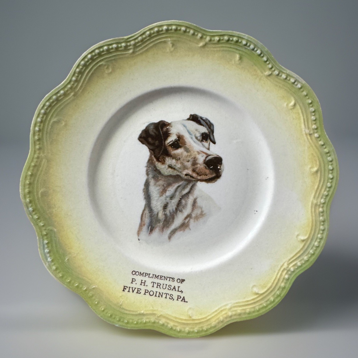 Antique E.F. & Co England Dog Plate Fox Terrier Advertising Trusal PA 19th C
