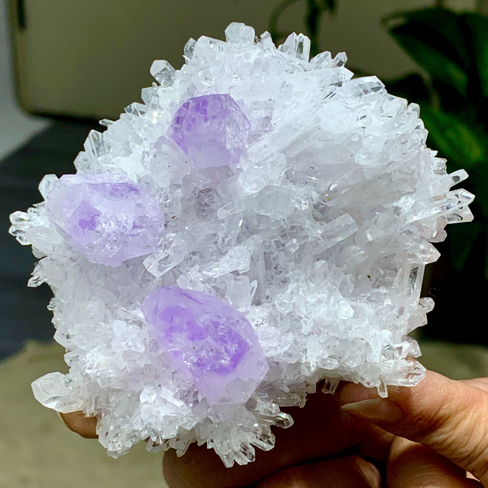 271G New Find white+purple Phantom Quartz Crystal Cluster Mineral Specimen