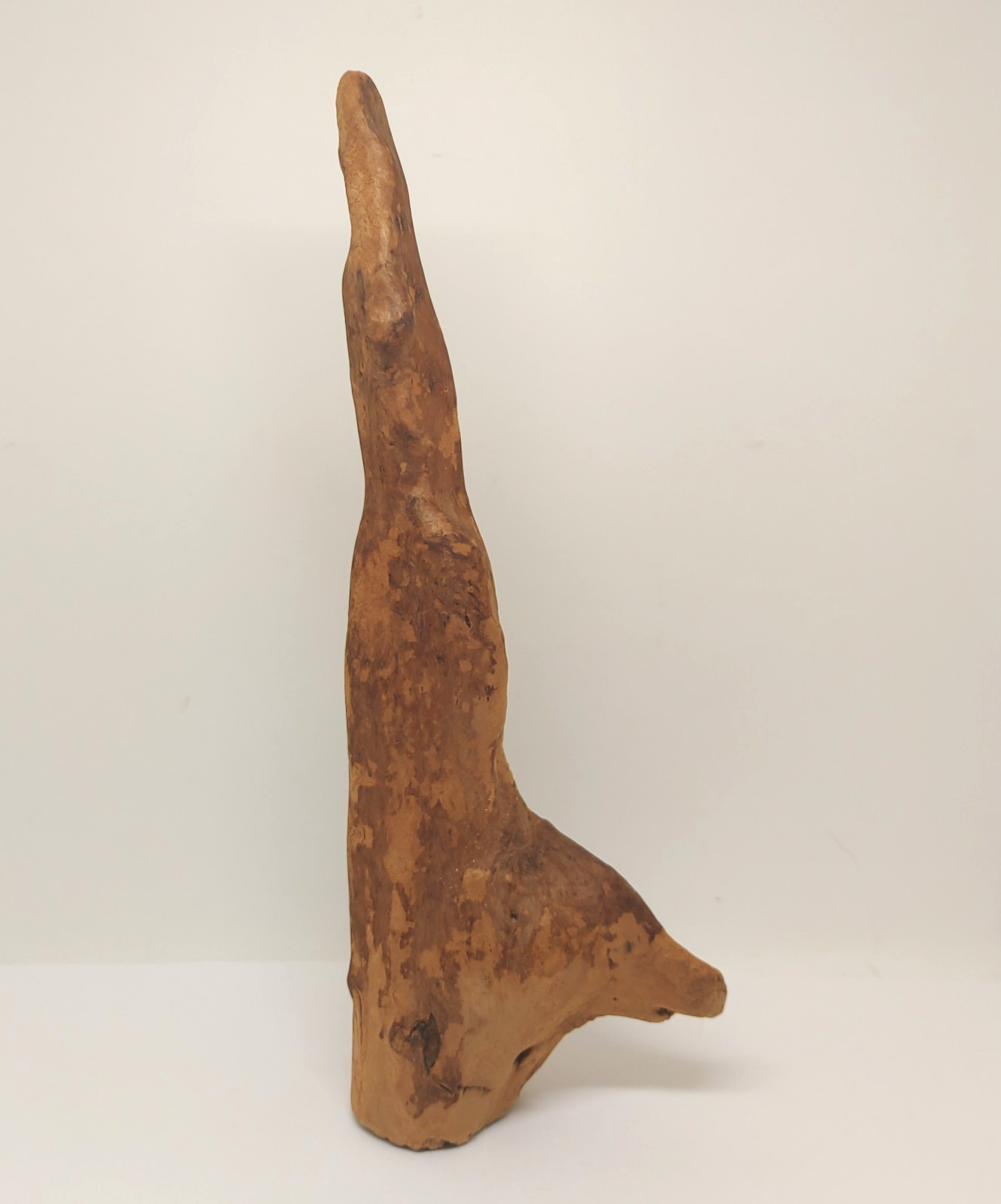 Vtg Cypress Wood Knee Decor Carving Naturalistic Sculpture Unpolished 10-3/4''