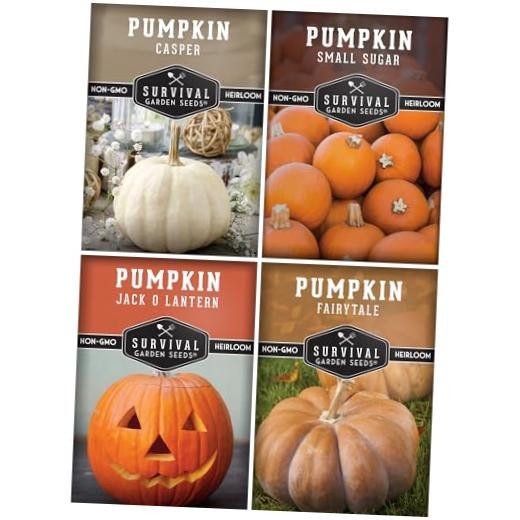 Pumpkin Seeds 4 Variety Pack for Planting | Small Sugar, Jack O\' Lantern,