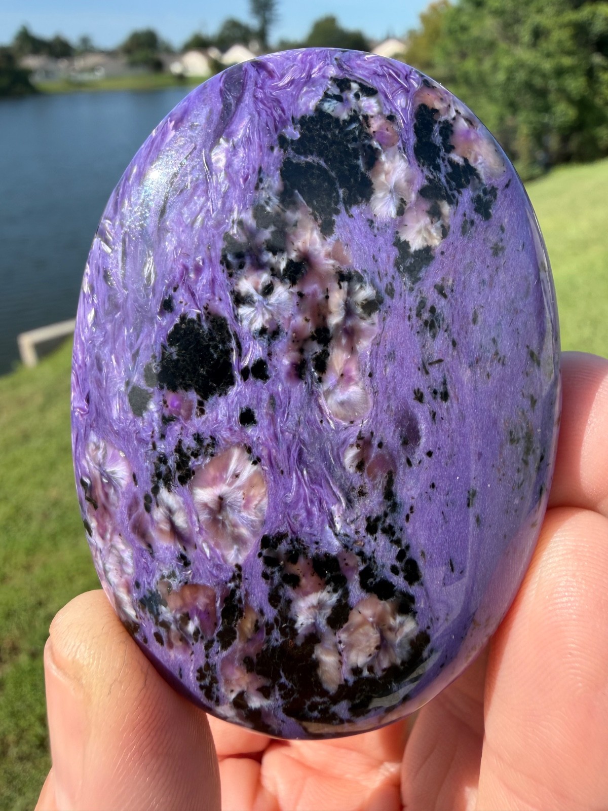 Nice Charoite Polished Gemstone Large Palmstone 2 3/4\