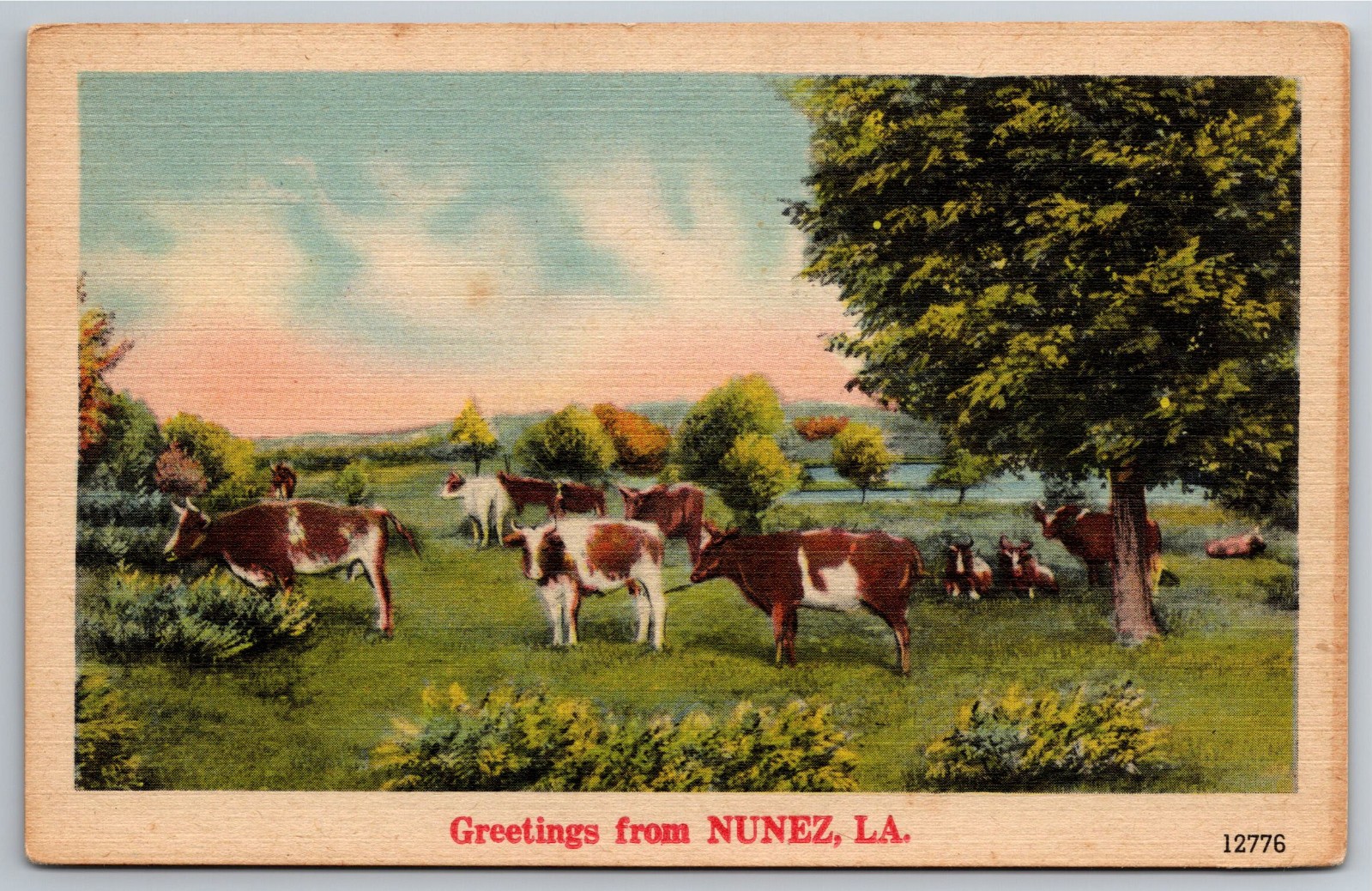 LA, Nunez, Greetings, Cattle, Cows, Country Scene, Vintage Postcard
