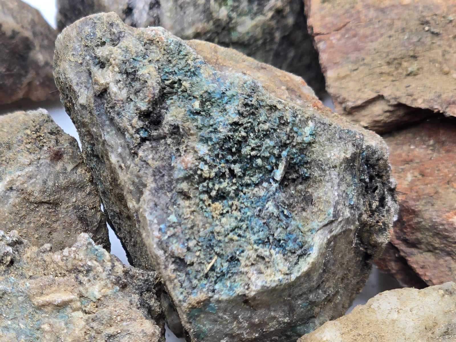 10+ lb Hard Rock Gold, Silver, Copper, Platinum, Ore from Nevada Mine Blind Grab 10+ lb Hard Rock Gold, Silver, Copper, Platinum, Ore from Nevada Mine Blind Grab