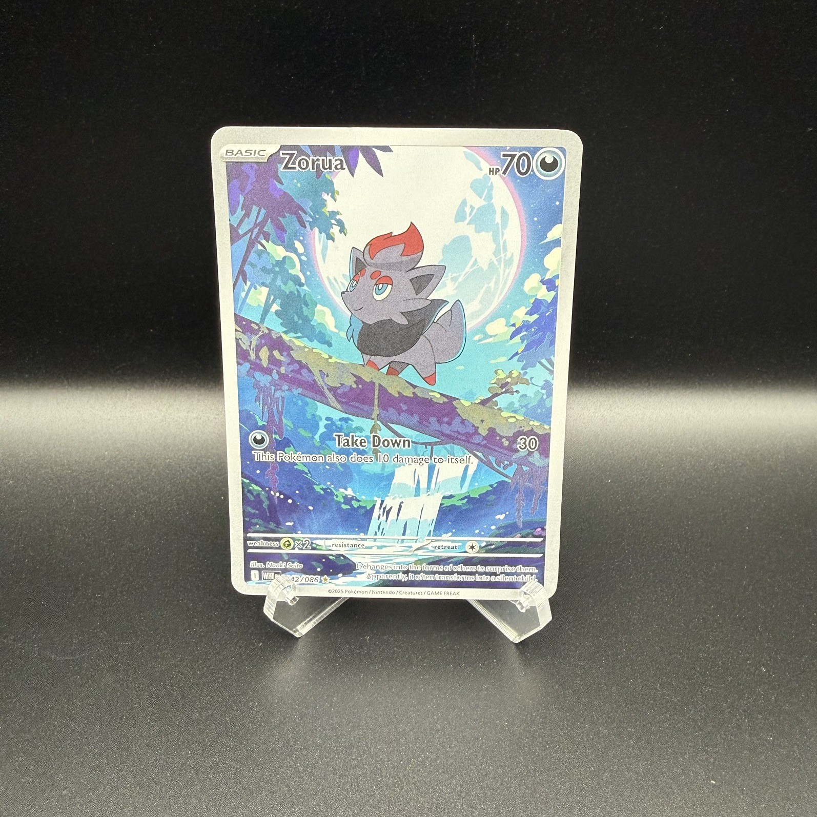 Zorua 142/086 Holo Illustration Rare White Flare Pokemon
