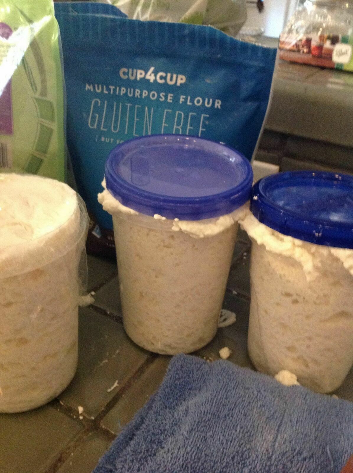 Gluten Free SOURDOUGH BREAD STARTER yeast San Francisco SAMMY plus recipes NEW z