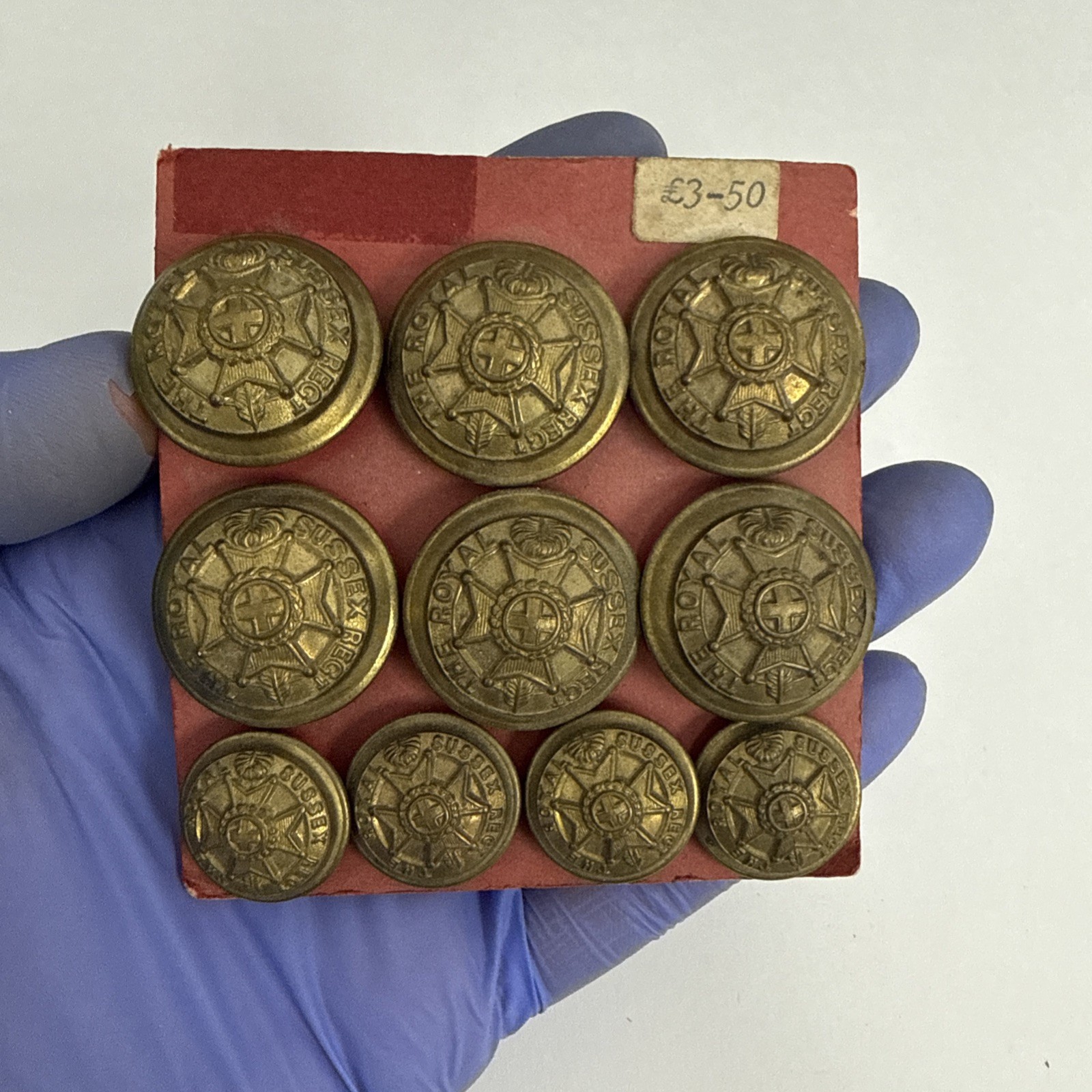 19xThe Royal Sussex Regt Brass Uniform Button by Army & Navy Stores 19xThe Royal Sussex Regt Brass Uniform Button by Army & Navy Stores